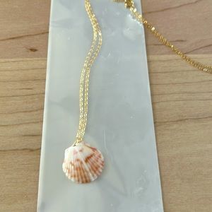 Gold filled 18” seashell necklace